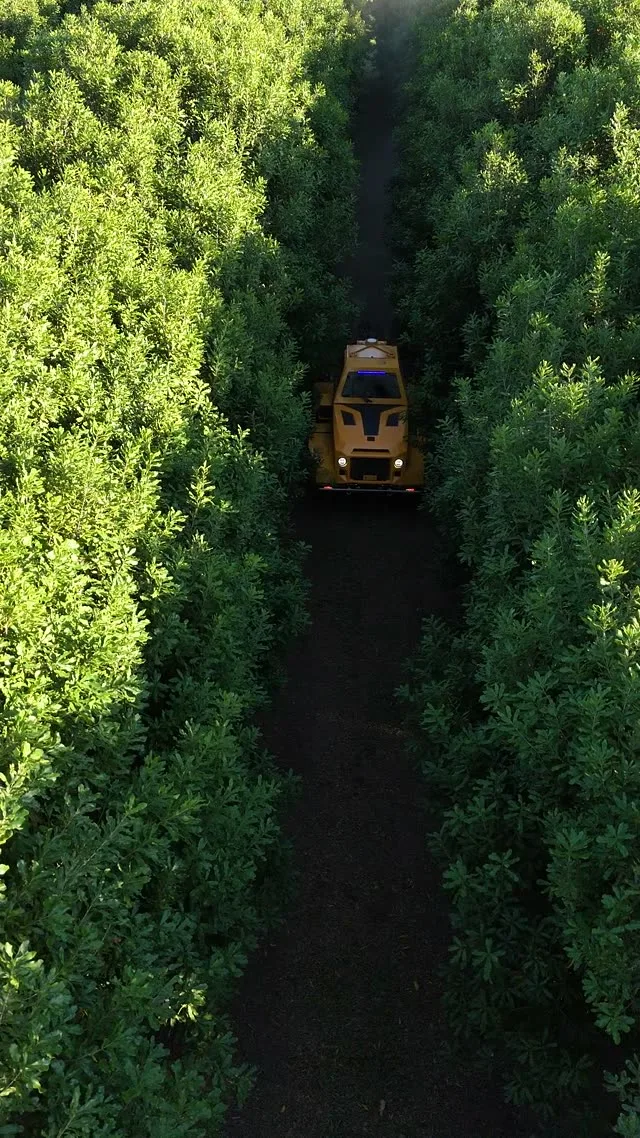 OMC AR-500 Mowing — Macadamia (Cross Row)