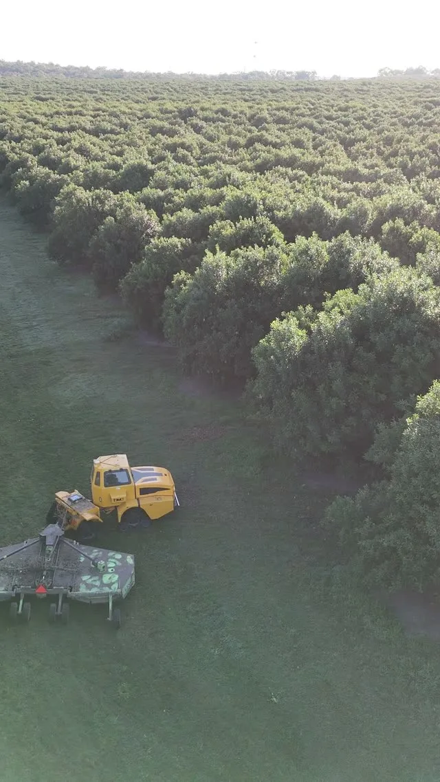 OMC AR-500 Mowing — Macadamia (Turn)