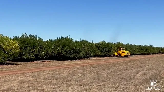 OMC AR-500 Spraying — Two ARs Turning